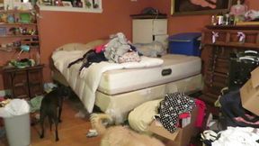 nude bbw folding her big pile of laundry and talks to you