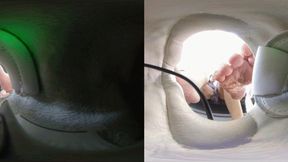 3dvr180 RUIRUI ERER humiliates the dwarf in the shoe