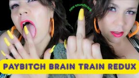 Paybitch Brain Train REDUX