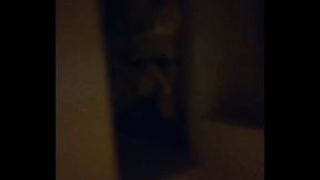 Perrita