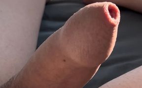 Horny fat cock