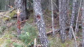 Femboy masturbation in pantyhose.