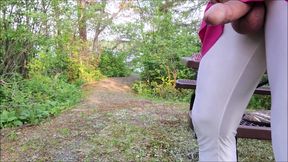 Tammy CD Slut Caged, Exposed Outdoors in Public and Released