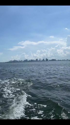 Can I Be Your Captain?