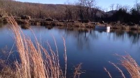 Don Whoe's Intense Encounter with Angel Love: A Must-See!