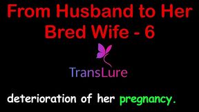 from husband to her bred wife – simulated pregnancy & full creampie surrender (taboo audio fantasy) - 6