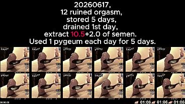 20260617, 12 ruined orgasm, stored 5 days, drained 1st day, extract 10.5 of semen. short version