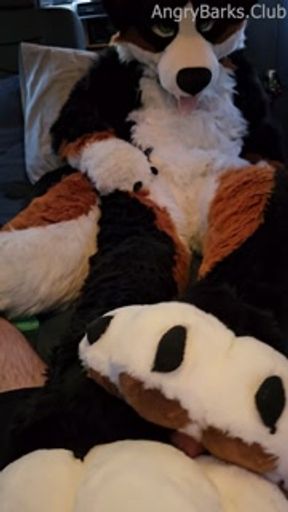 Voz gets a PawJob in the Car from his Horny Furry Step Bro