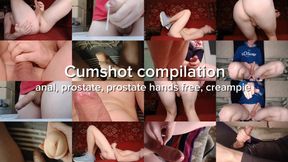 Cumshot compilation: anal, prostate, prostate hands free, creampie