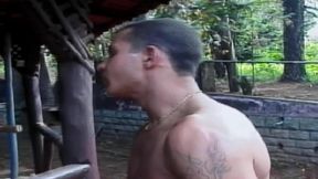 Teenage Transsexuals 16 4