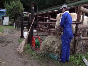 50 Country Bumpkins Vol. 2