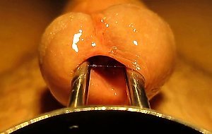 Urethral sounding and stretching with cumshot