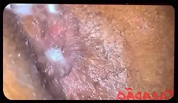 Ebony BBW Anal & Blowjob Passion | HD Adult Scene Most viewed