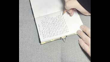 Reneenicolecd - update #80 - Journal Entry 4 - Memories - Aug 06, 2026