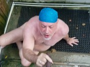 Bear gets pissed on in public by bbc