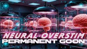 Neural Overstim: Permanent Goon Programming