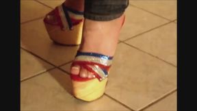 Tara in sparkly 8 inches wedges