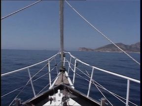 Mischievous Perversions