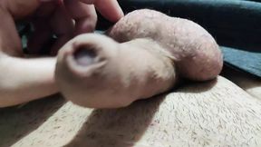 Massage my penis on a gentle night