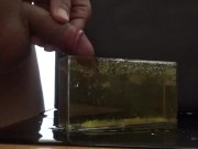 気持ちよくおしっこ遊びをしながら最後はその中に大量射精してしまう変態君。
