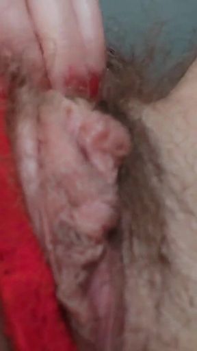 Sniffing This Hairy Pussy and Licking to Orgasm Is Your Dream, Come on, Jerk off to Me - Ginnagg