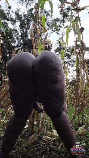 Shaking It Outside in the Village Maize Plantation