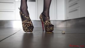 ”Devoted slave worships mistress heels (POV)”