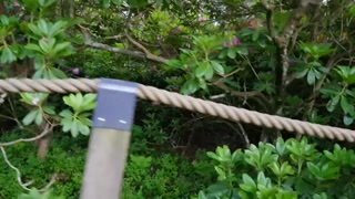 Naughty Girl Pees her Diaper in a Park