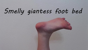 Smelly Giantess Foot Bed