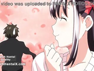 Animated Anime, Animation porn