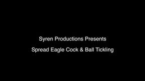 Spread Eagle Cock & Ball Tickling (1080p)