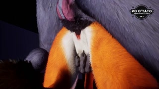 Furry Porn \ Wolf Knits Vixen | 3D Animated