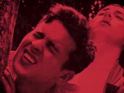 My New Cruising Friend