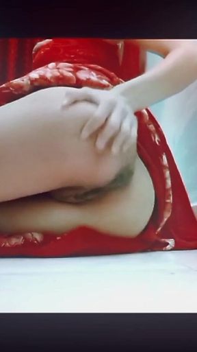 Lala Saree Orgasam