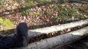 Titslaping in the Woods