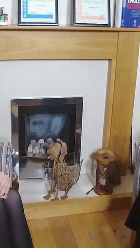 Miss Fox and the Head