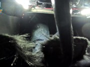 DRIVING IN SOCKS BACK PEDAL VIEW