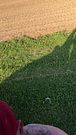 Gay man dives into piss against open air