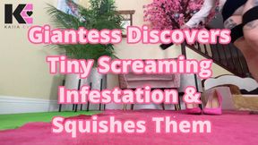 Giantess Discovers Tiny Screaming Infestation & Squishes Them