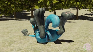 Cinders on the groin Queen Blush