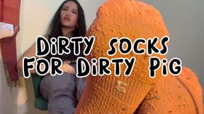 Dirty Socks for My Filthy Pig: Sniff, Lick, and Grovel Like the Sow You Are 💦🧦🐷