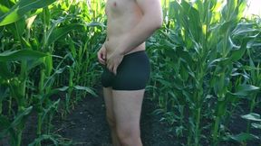 Guy Strips to Underwear in Cornfield and Jerks Off