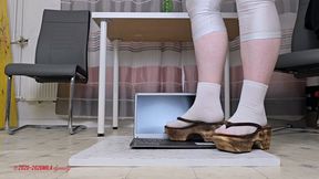 Mila- Laptop destruction