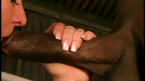 phyllisha anne takes interracial anal from byron long