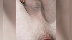 so hot twink enjoys a big anal ball and cums from a strap-on. his anal spits natural lube