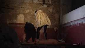 Halloween Toilet Fetish