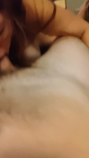 Cat in a person's lap