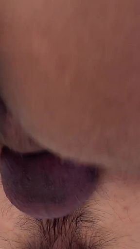 Visiting Louis Ricaute's Appartment with a Present