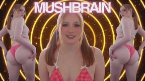 GET MUSHBRAINED