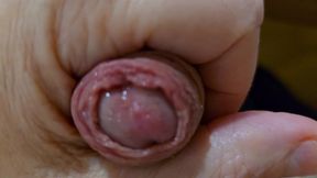 Nice Dick Head Cum and Hot Sperm